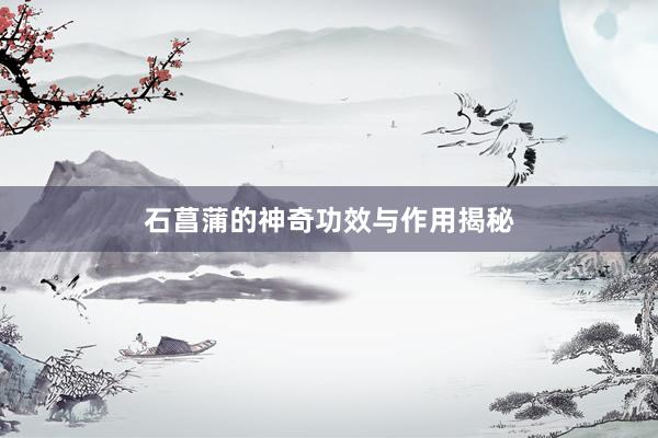 石菖蒲的神奇功效与作用揭秘